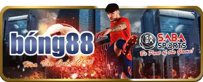 Lỗi kết nối VN666